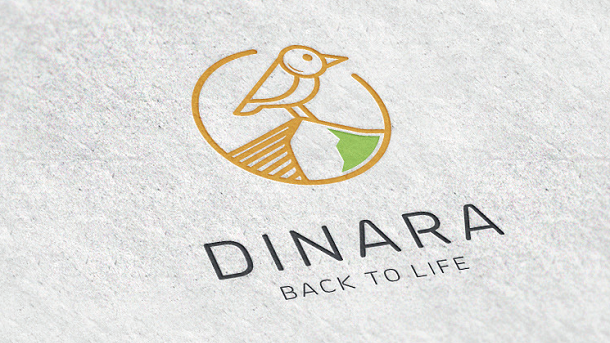 Vizual Dinara Vizual Dinara