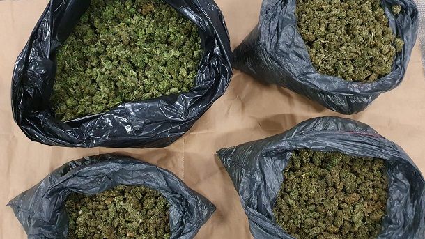 marihuana marihuana