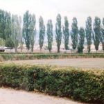 hipodrom
