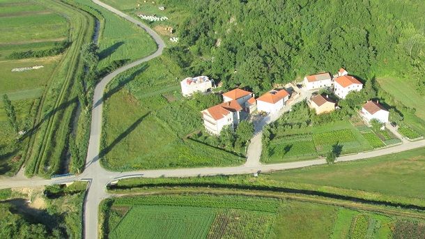 glavice donje glavice donje