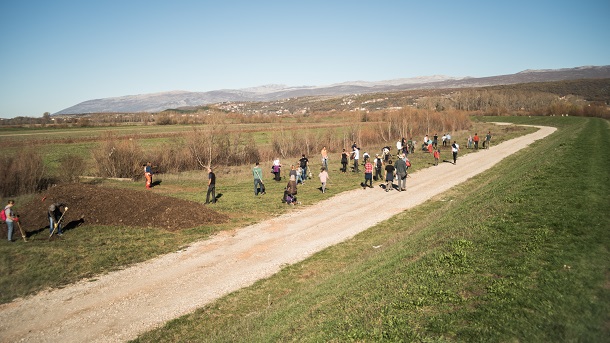 Sinjsko polje sadnja autorica Anđela Vidić Sinjsko polje sadnja autorica Anđela Vidić