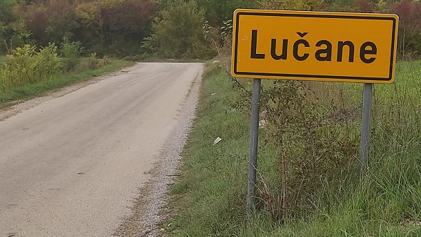 lucane lucane