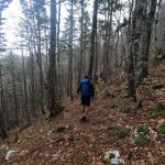 dinarides trail
