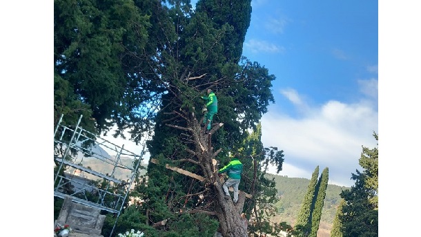 groblje cistoca groblje cistoca