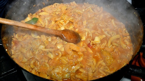 TRIPICIJADA TRIPICIJADA
