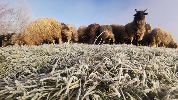 mraz udruga nase brnaze mraz udruga nase brnaze