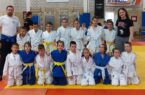judo