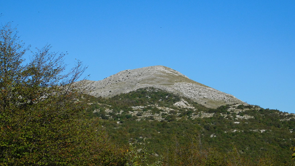 pd svilaja