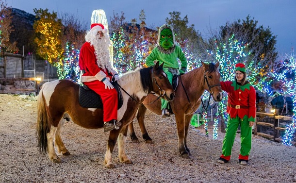 grinc i dida x grinc i dida x