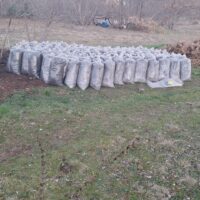 Thumbnail for the listing's main image