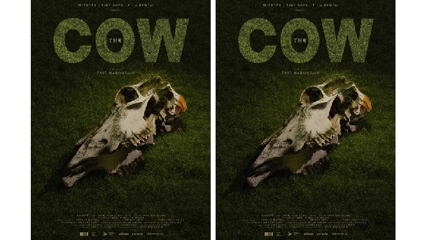 COW COW