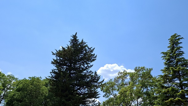 VRUĆINA VRUĆINA